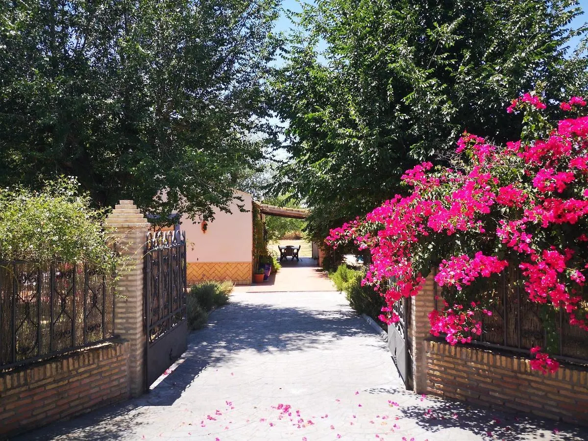 Casa Los Jinetes Carmona  Villa Carmona (Seville)